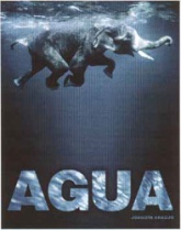 agualitearatiura