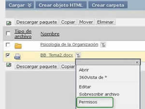 Opción de menú contextual para editar permisos