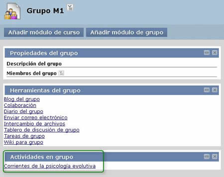 Actividad grupal accesible para grupo Actividad grupal accesible para grupo